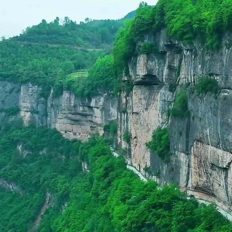 （長(zhǎng)青樹）【縱橫大東北、做客俄羅斯 】山西：掛壁公路、河南：峰林峽、河北、北戴河、俄羅斯：布拉戈維申斯克、黑龍江：黑河、五大連池、內(nèi)蒙古：呼倫貝爾、遼寧：沈陽(yáng)故宮、盤錦紅海灘、吉林長(zhǎng)白山空調(diào)專列16天